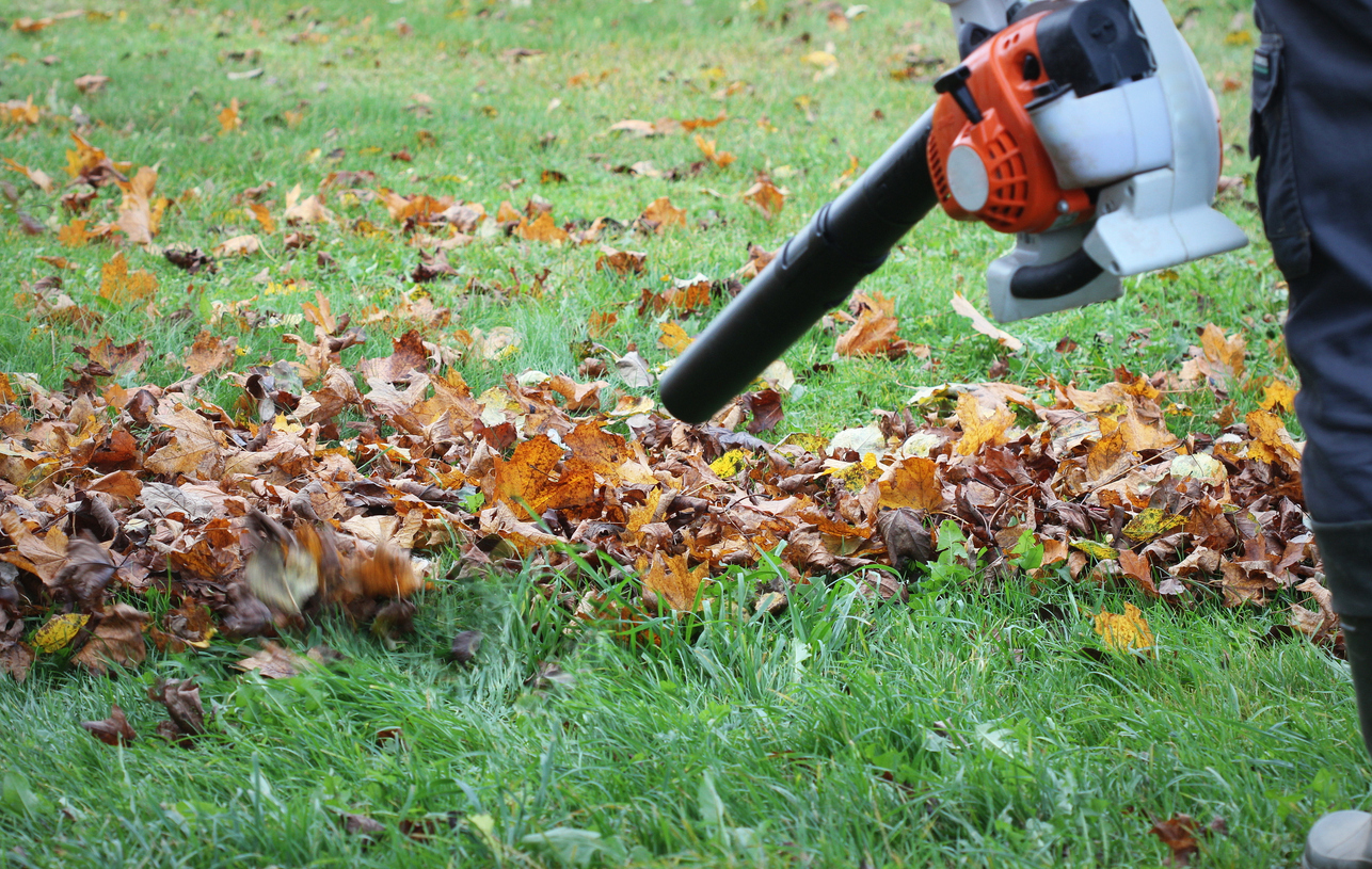 a person using leaf blower to clear out autumn leaves in the lawn