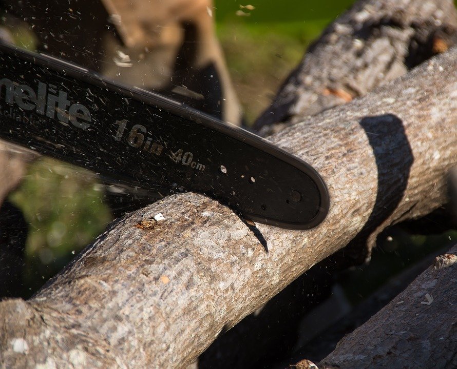 chainsaw-Pole Saws A Buying Guide
