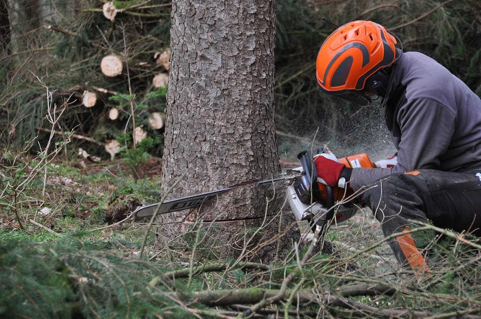 Chainsaws vs Reciprocating Saws - When do You Need What