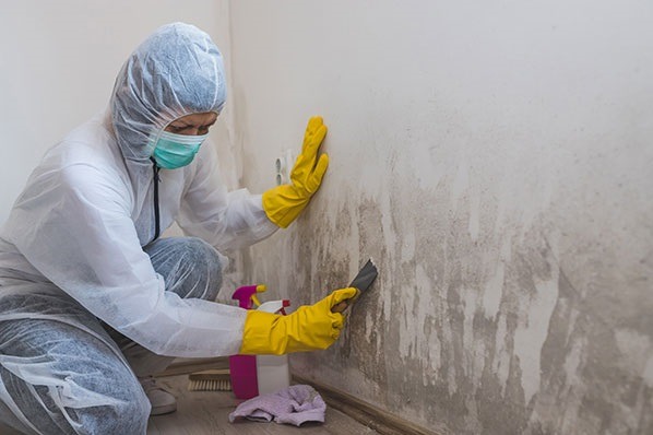 The Best Way to Tackle Mold Growth